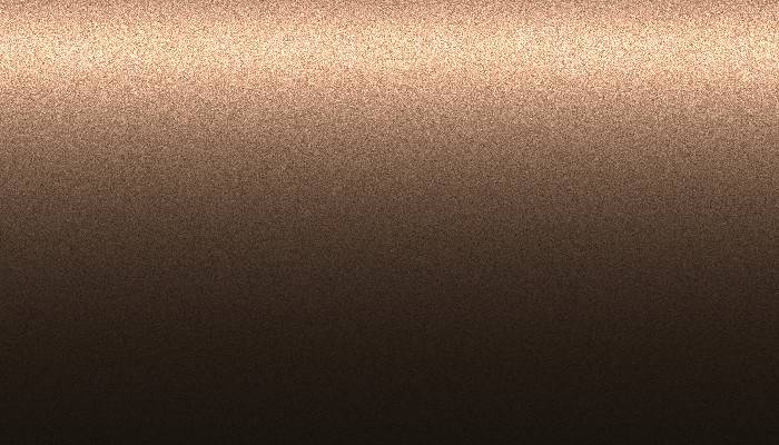 Nissan – 102 – BROWN