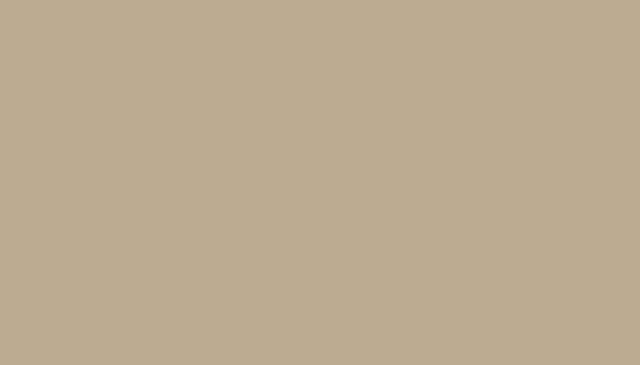 Nissan – 131 – BEIGE
