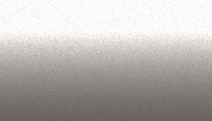 Nissan – 365 – BROWNISH SILVER