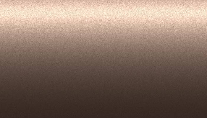 Nissan – 420 – GREYISH BROWN