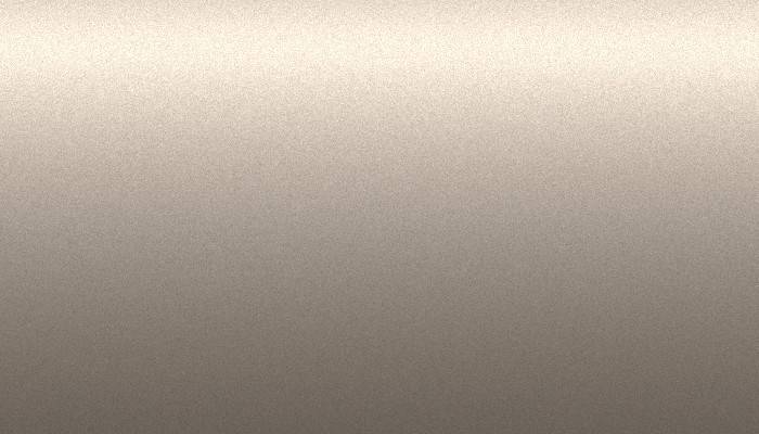 Nissan – 449 – LIGHT BEIGE