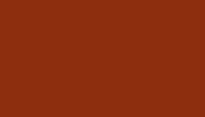Nissan – 41 – RED ORANGE