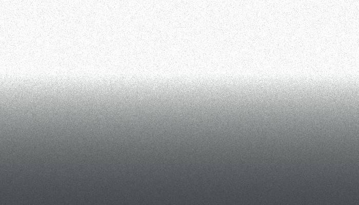 Nissan – 596 – SILVER