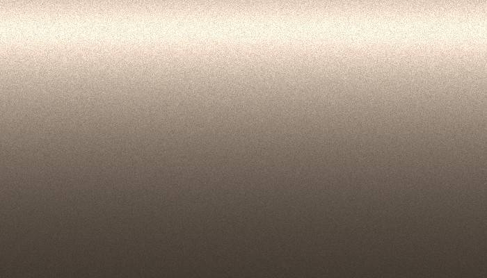 Nissan – CJ0 – LIGHT BROWN