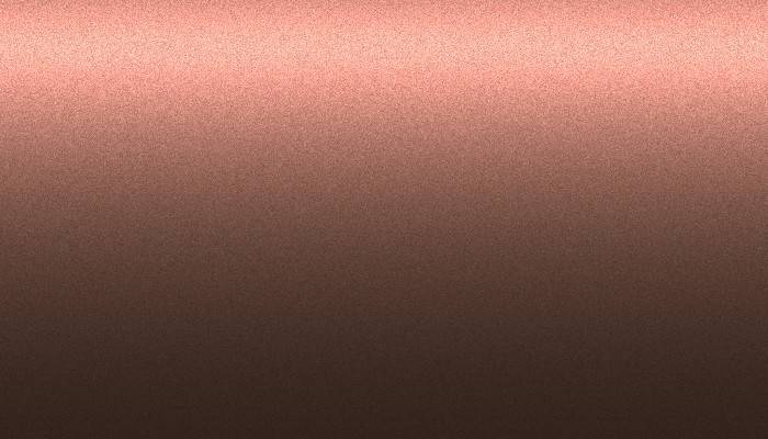 Nissan – CJ1 – TWILIGHT COPPER