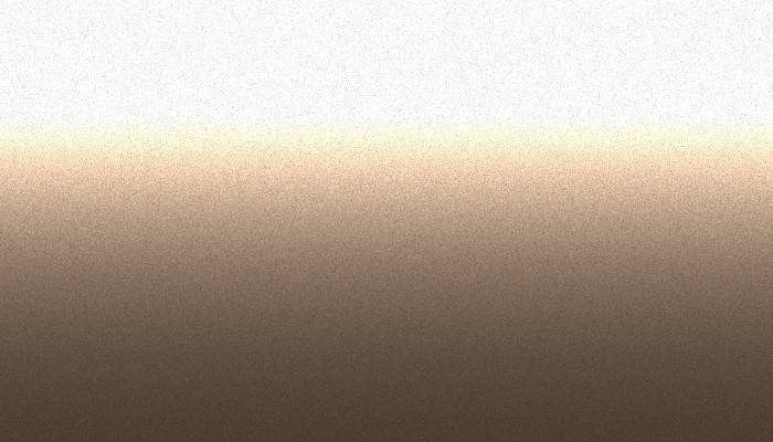 Nissan – CJ2 – REDDISH BEIGE