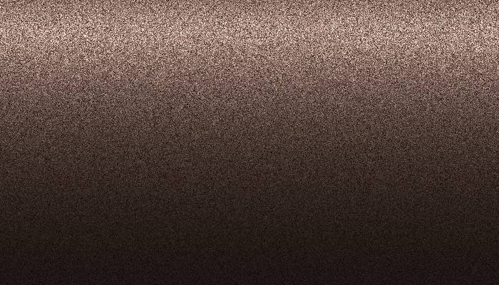 Nissan – CL2 – DARK RED BROWN