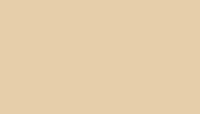 Nissan – PF – SAFARI BEIGE