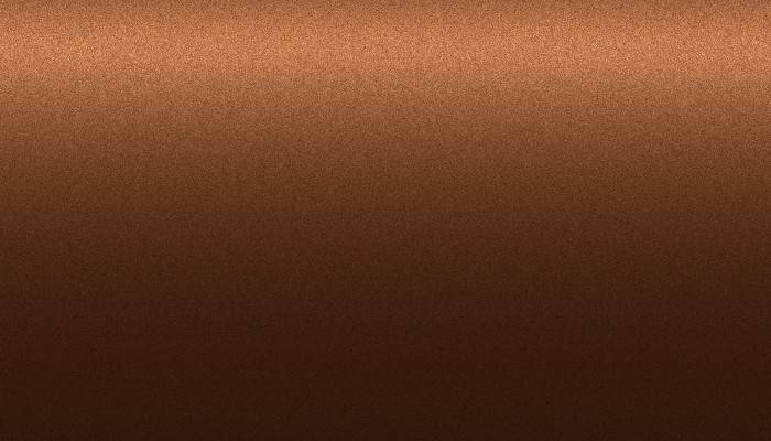 Nissan – 810 – BROWN