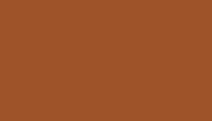 Nissan – 824 – BROWN