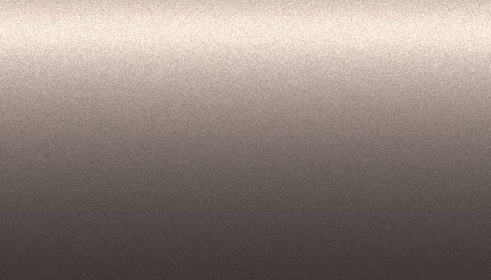 Nissan – 589 – GREYISH BROWN