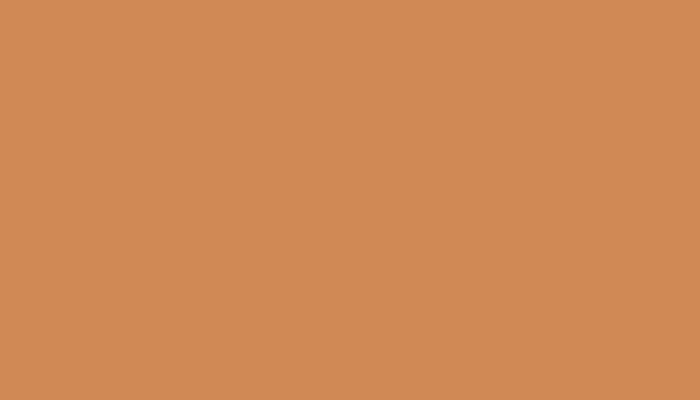 Nissan – A10 – APRICOT ORANGE