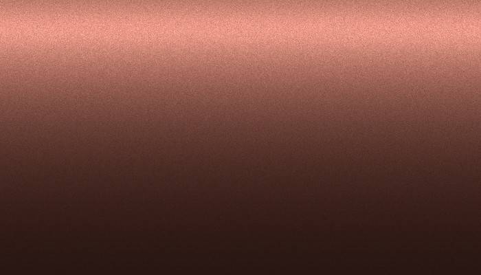 Nissan – 733 – SIENNA BROWN