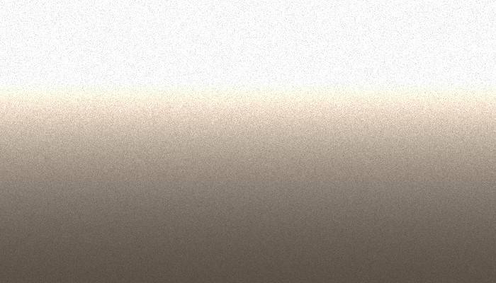 Nissan – CG2 – BEIGE