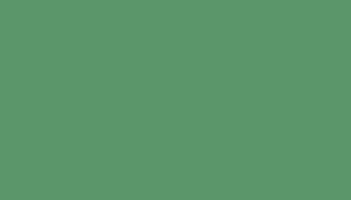 Nissan – 758 – GREEN