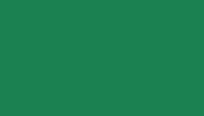 Peugeot – P3QX – VERT (2C)