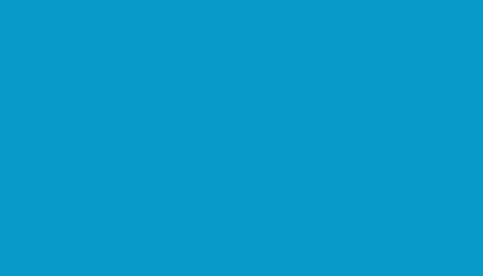 Porsche – 36G – BLAU
