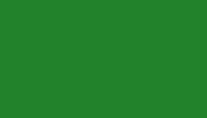 Renault – 907 – VERT JARDIN