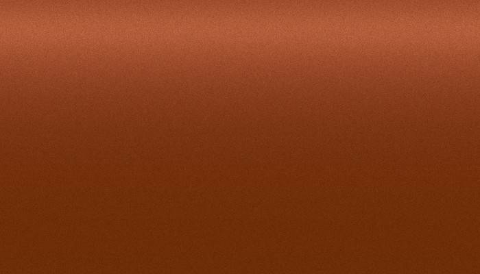 Renault – 314 – TERRE DE SIENNE