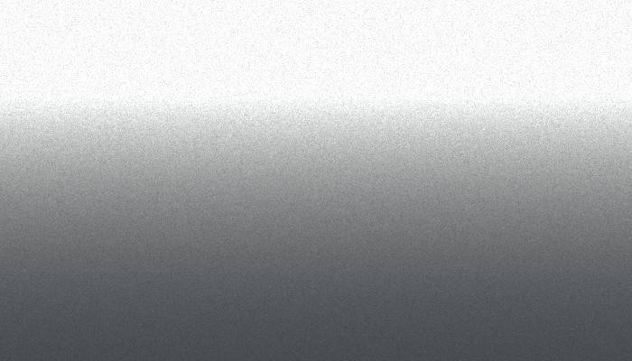 Nissan – FSM – FOX SILVER