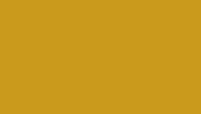 Renault – R50 – JAUNE CITRON