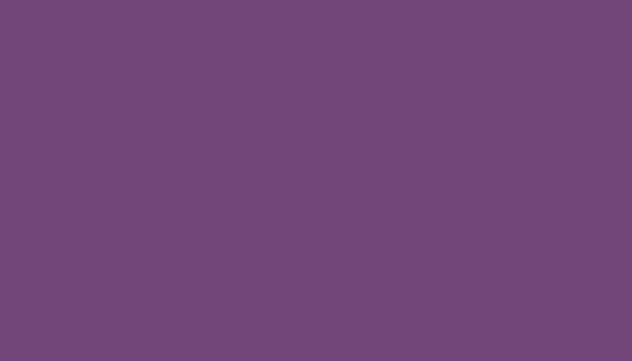 Renault – 4457 – VIOLET