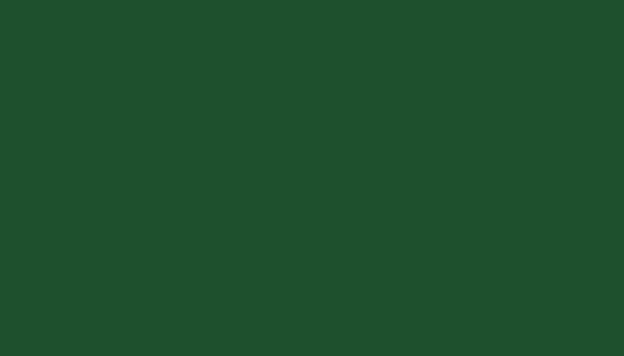 Rover – GN25 – BRITISH RACING GREEN
