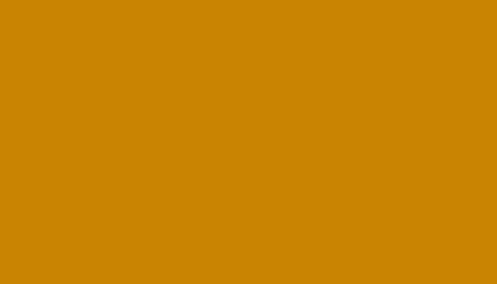 Rover – YL61 – MUSTARD YELLOW