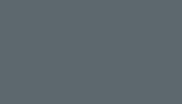 Saab – 287 – DOLPHIN GREY