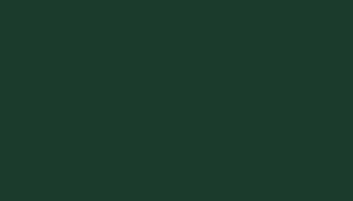 SEAT – 384 – VERDE INGLESE