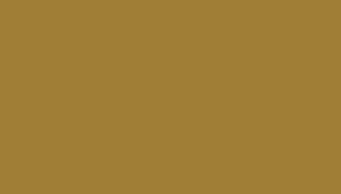 SEAT – 963 – BEIGE DORADA