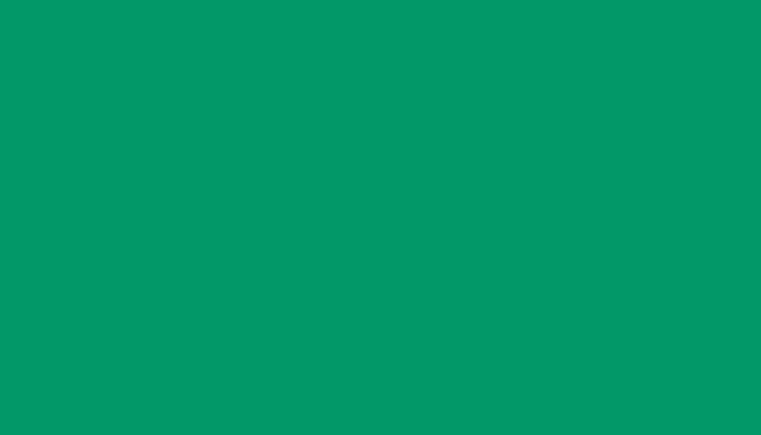 SEAT – 308 – VERDE MARINA