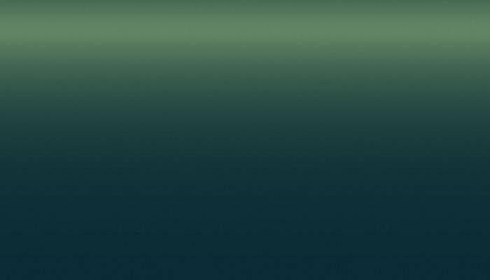 SEAT – LS6W – VERDE PINO