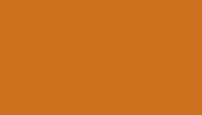 SEAT – 201 – NARANJA MEXICO