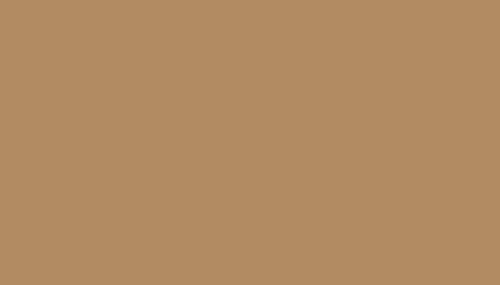 SKODA – 2095 – BEIGE