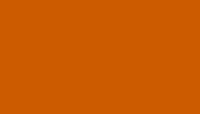 SKODA – LP2C – LEUCHTORANGE