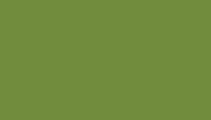 SKODA – 5122 – LIGHT GREEN
