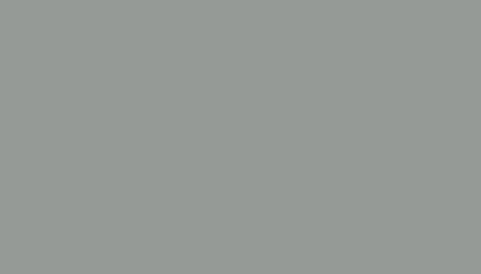 SKODA – 1024 – GRAU