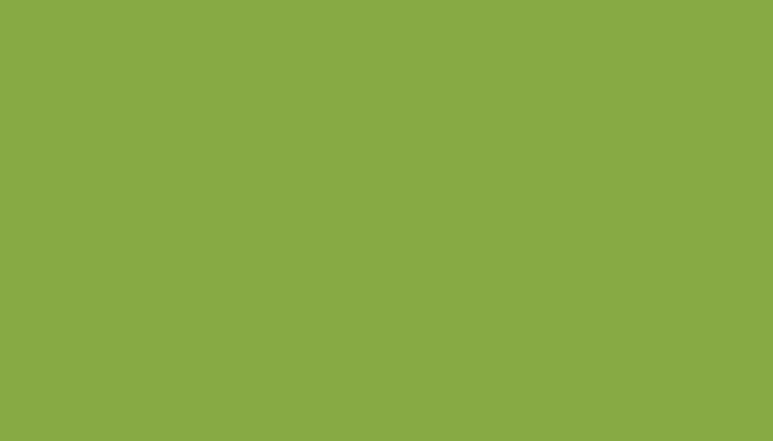 Subaru – 39 – SPRITE GREEN