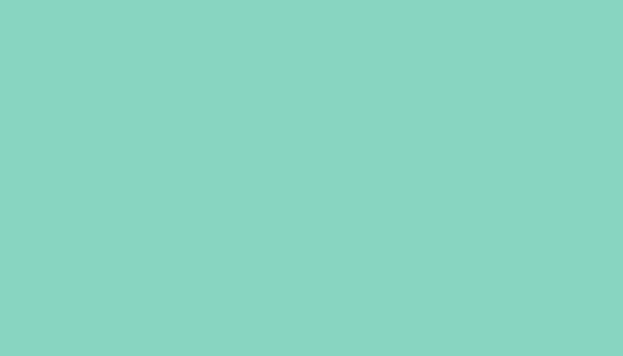 Suzuki – 28Z – PEPPERMINT GREEN