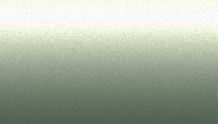 Suzuki – 19S – CRYSTAL GREEN