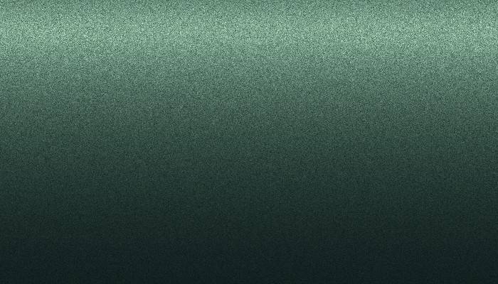 Suzuki – 13P – CECIL GREEN