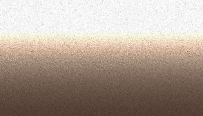 Suzuki – Z6B – REDDISH SILVER