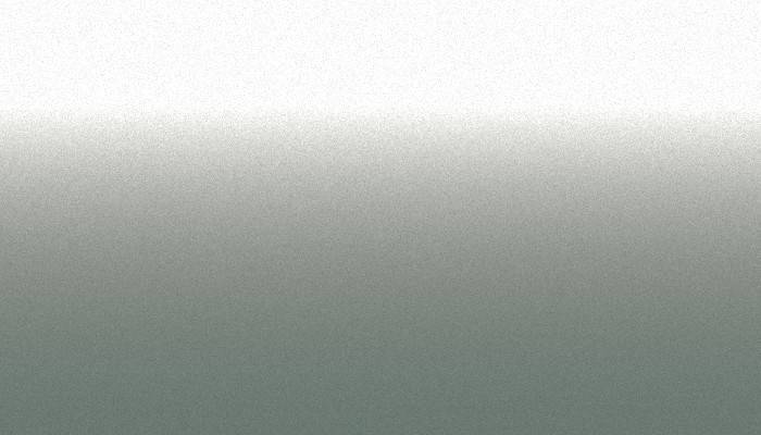 Suzuki – Z9C – GREENISH SILVER