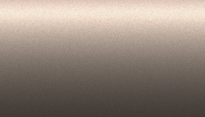 Toyota – 4G9 – BEIGE/SIERRA BROWN