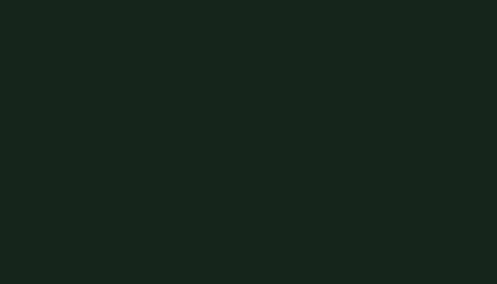 Nissan –  – ARMY GREEN