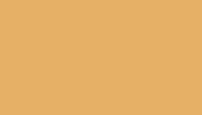 VW Volkswagen – L81D – OREGONBEIGE