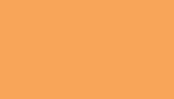 VW Volkswagen – 78 – APRICOT