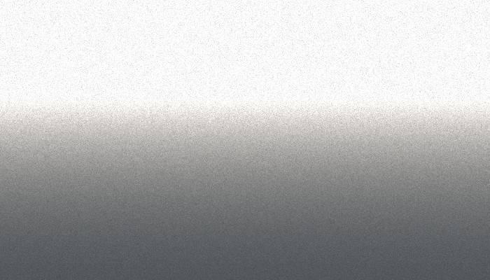 VW Volkswagen – LG9R – SILVER MIRROR