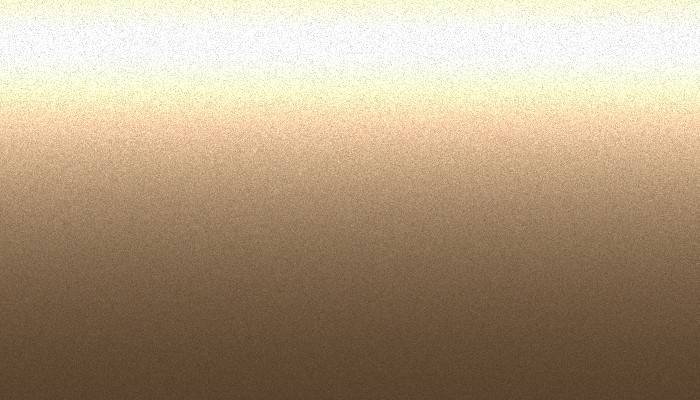 VW Volkswagen – LE1V – GOLD